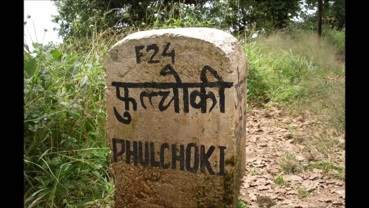 फुल्चोकी जंगलमा हराएका २ जनाको सकुशल उद्दार