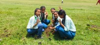 वातावरण दिवसमा चमेलीको वृक्षारोपण