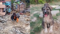 कुकुरले कसरी बचायो ६७ जनाको ज्यान ?