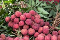 गर्मीसँगै लिचीको भाउ उकालो लाग्यो