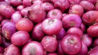 प्याजको मूल्यमा  बृद्धि