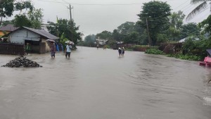 लगातारको वर्षाका कारण विराटनगर जलमग्न