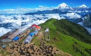 खोप्रा लेकमा चौँरीपालन र धौलागिरी हिमाल