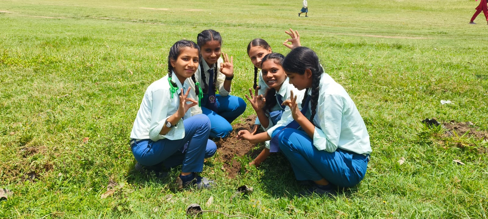 वातावरण दिवसमा चमेलीको वृक्षारोपण