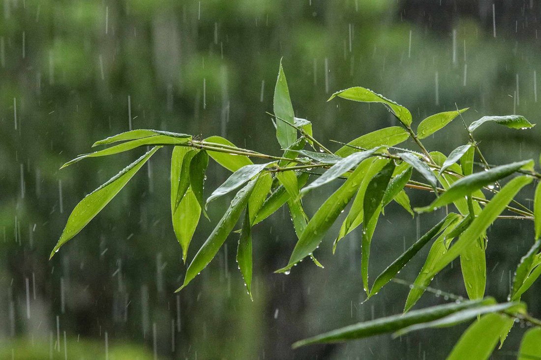 कैलालीमा भारी वर्षा, साँझसम्म सतर्क रहन स्थानीयलाई सुझाव