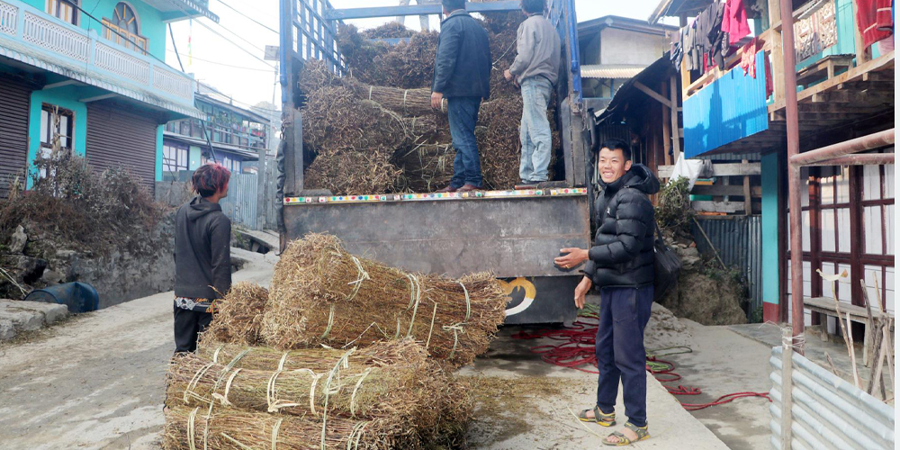 चिराइतो मूल्य बढ्दो, उत्पादन घढ्दो