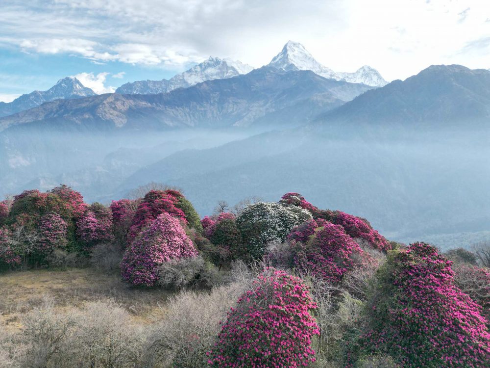 कोशी पर्यटन वर्षको तयारी पूरा