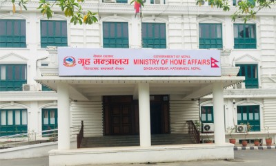 दैलेख सहित तीन जिल्लाका सिडिओको सरुवा