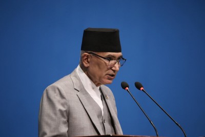 सरकारले वनमा सुकेका काठ निकाल्न दिने