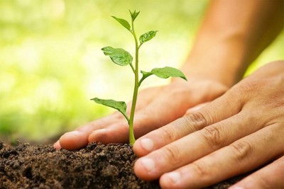 झापामा बिरुवा रोपेर मनाइयो  विश्व वातावरण दिवस