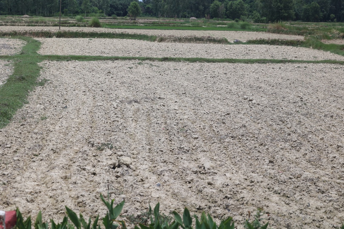 madhesh-1753427341.jpg